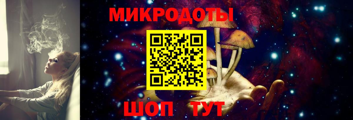 Псилоцибиновые грибы Psilocybine cubensis  Вход с VPN  Галлюциногенные грибы мицелий  Элиста 